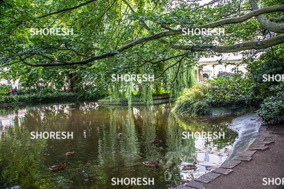 בריכת מים בגן מקומי בפראג