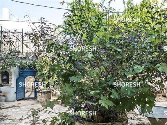 חצר בית בגליל