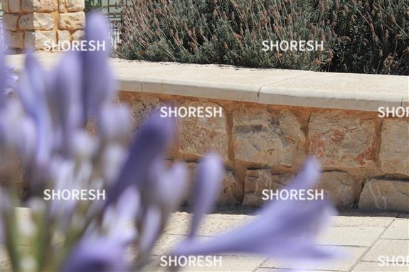 פרח בתקריב9