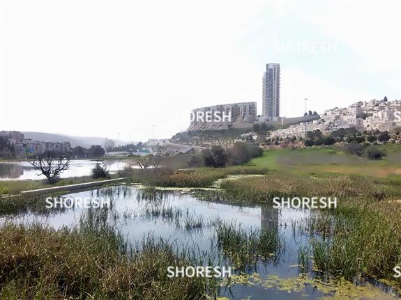 עמק הצבאים עם ההולילנד ברקע