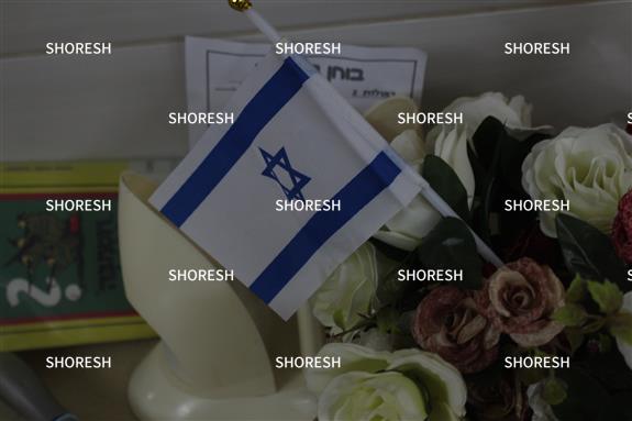 דגל ישראל