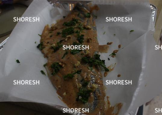 דג סלומון לשבת2