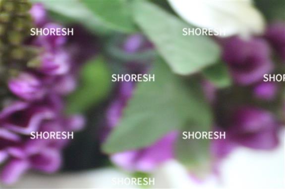 פרח מפלסטיק תקריב