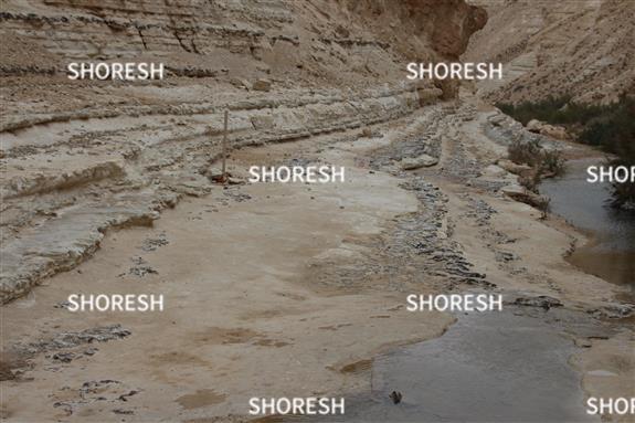 מעיין בקניון  ליד ערוץ ההליכה