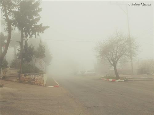 ביריה בערפל