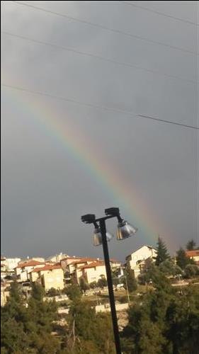 קשת תמונה עומדת
