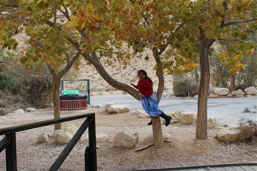 ילדה יושבת על גזע עץ